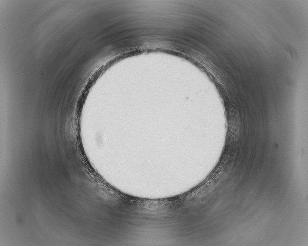 X0000111610832200908281049