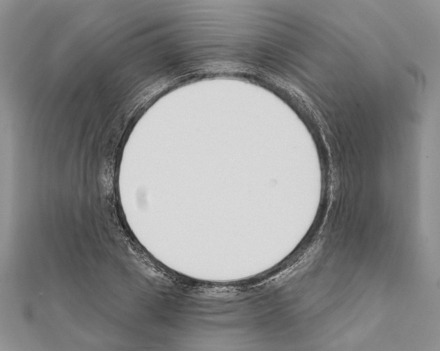 X0000111610833200908281049