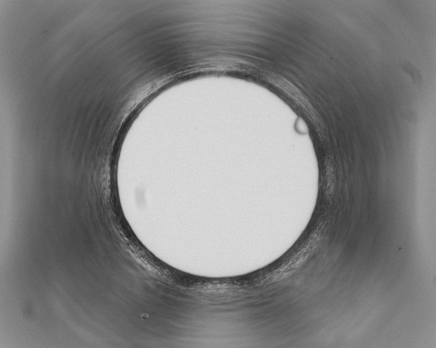 X0000111610834200908281049
