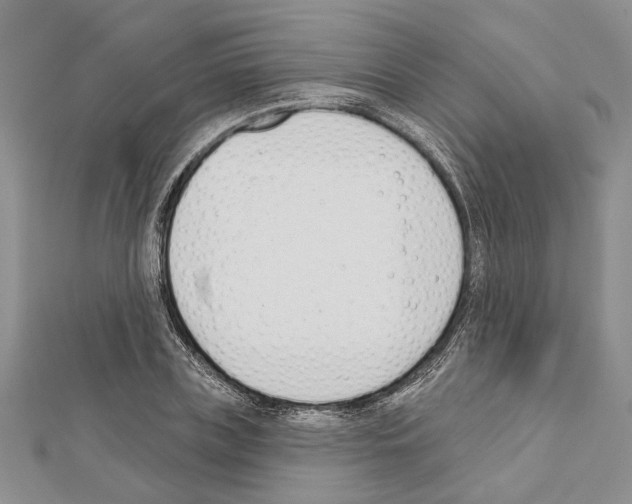 X0000111610835200908281049