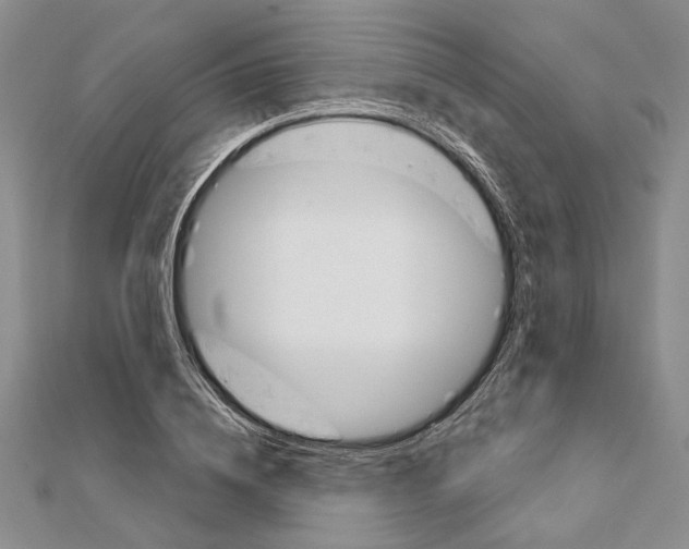 X0000111610836200908281049