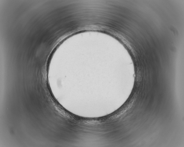 X0000111610837200908281049