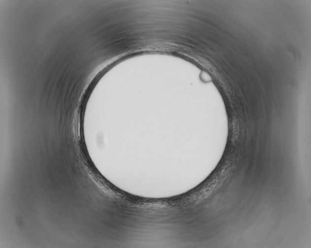 X0000111610838200908281049