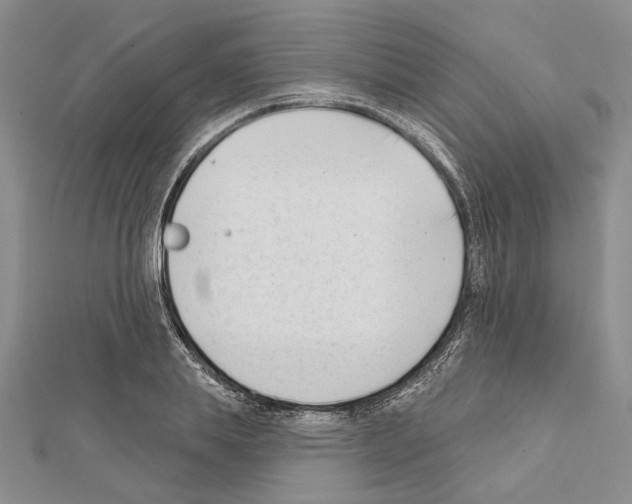 X0000111610839200908281049