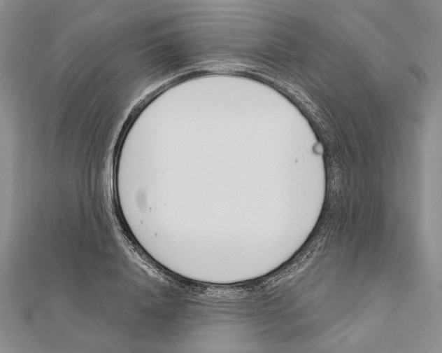 X0000111610840200908281049