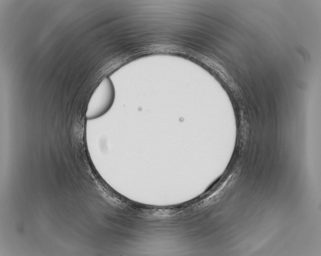 X0000111610841200908281049