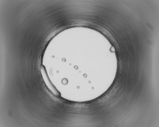 X0000111610842200908281049