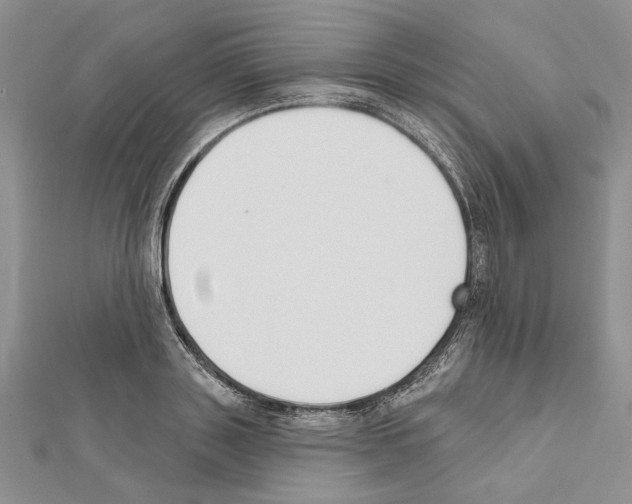 X0000111610843200908281049