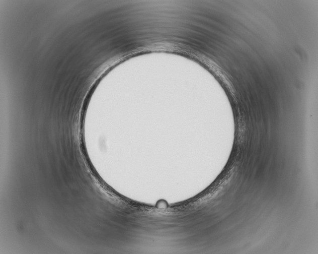 X0000111610845200908281049