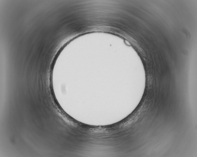 X0000111610846200908281049