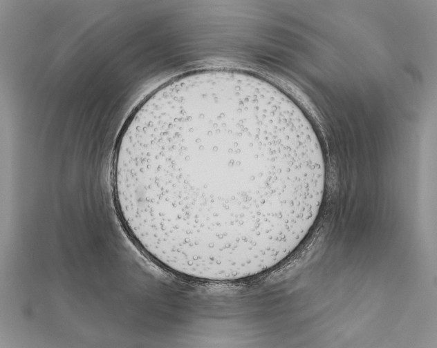 X0000111610847200908281049