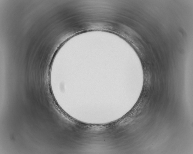 X0000111610848200908281049