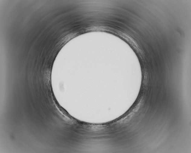 X0000111610849200908281049