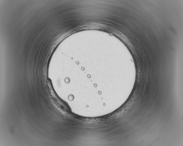 X0000111610850200908281049