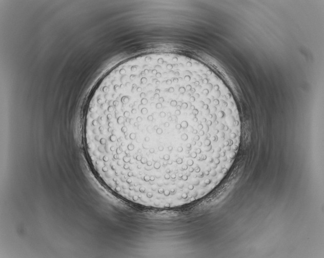 X0000111610851200908281049