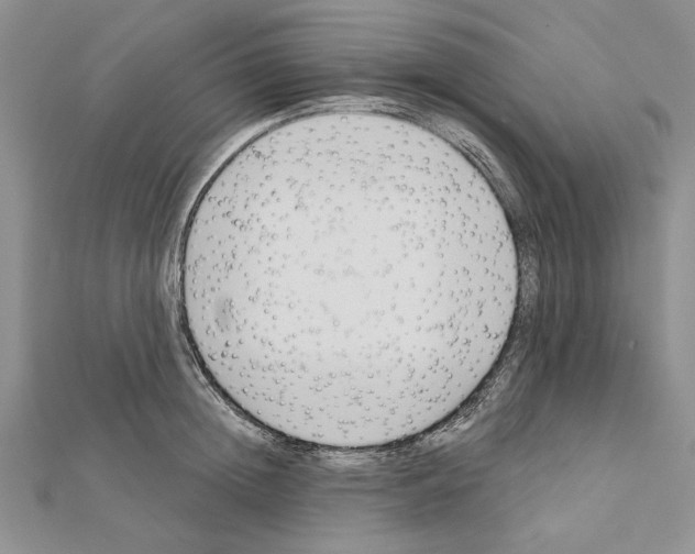 X0000111610852200908281049