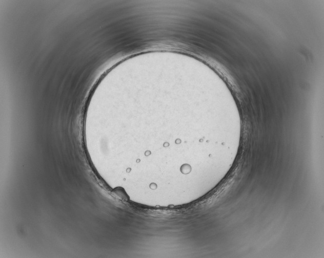 X0000111610854200908281049
