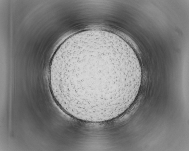 X0000111610855200908281049
