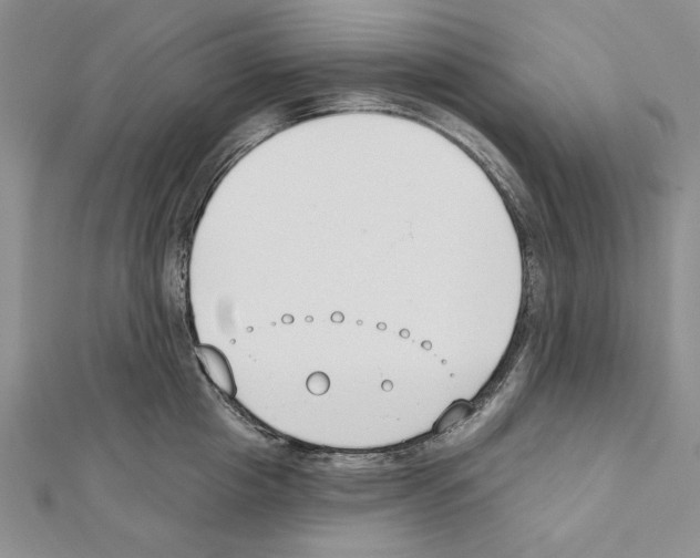 X0000111610857200908281049