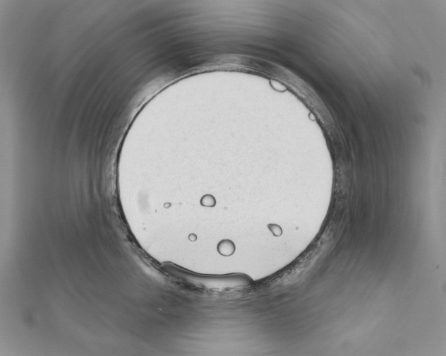 X0000111610858200908281049