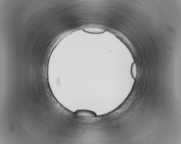 X0000111610860200908281049