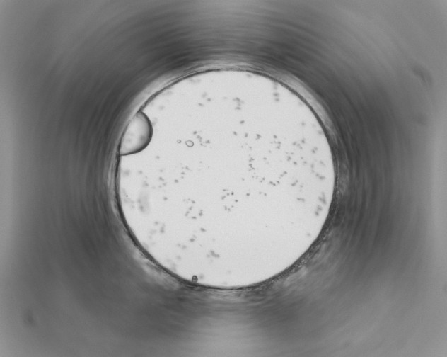 X0000111610861200908281049