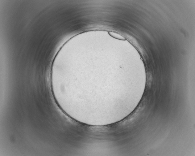 X0000111610863200908281049