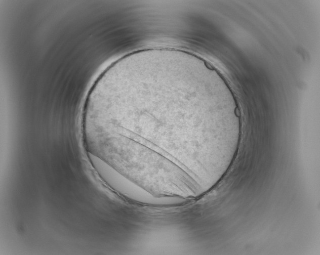 X0000111610864200908281049