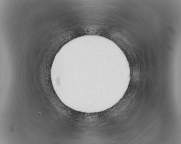 X0000111610865200908281048