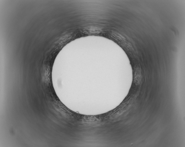 X0000111610866200908281048