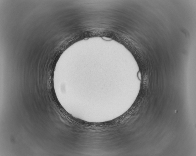 X0000111610868200908281048