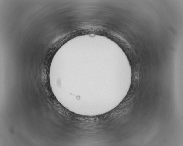 X0000111610869200908281048