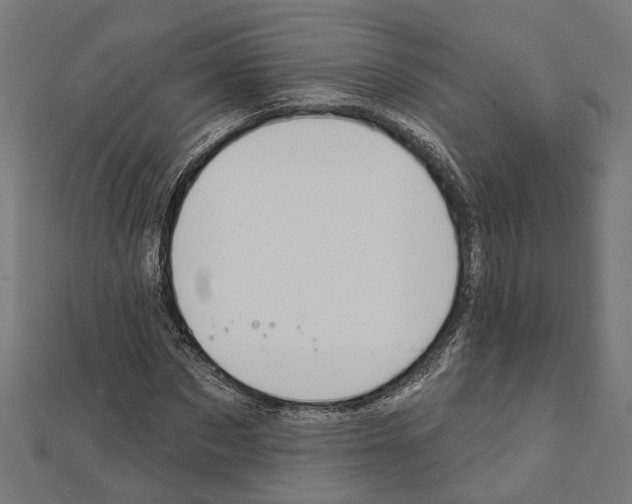 X0000111610873200908281048