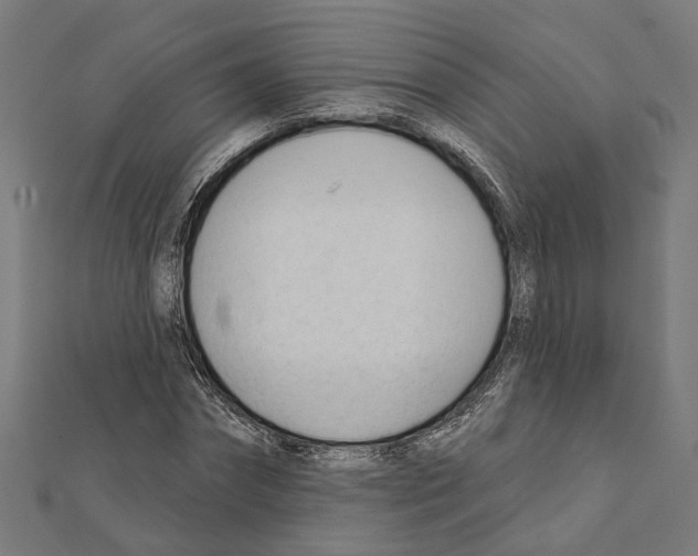 X0000111610874200908281048