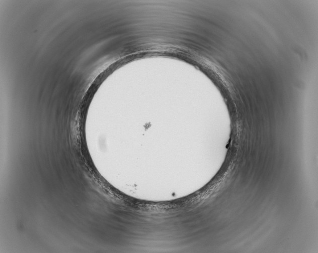 X0000111610875200908281048