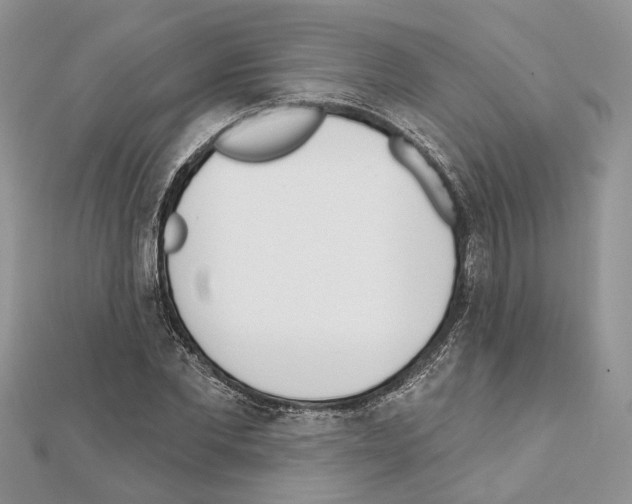X0000111610877200908281048