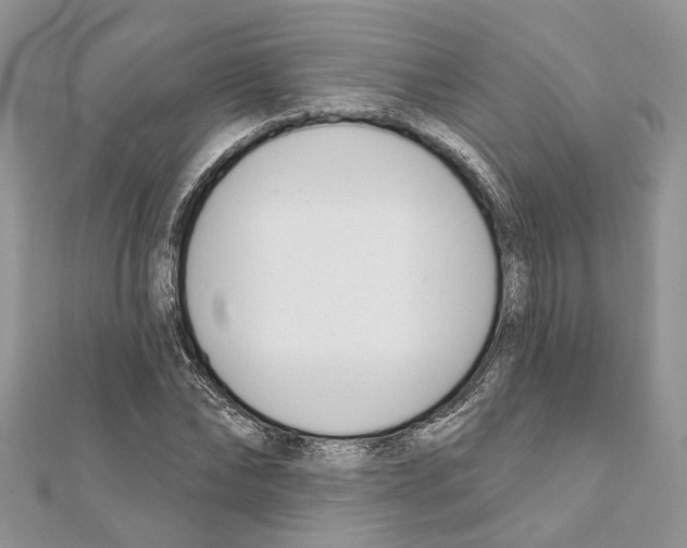 X0000111610878200908281048