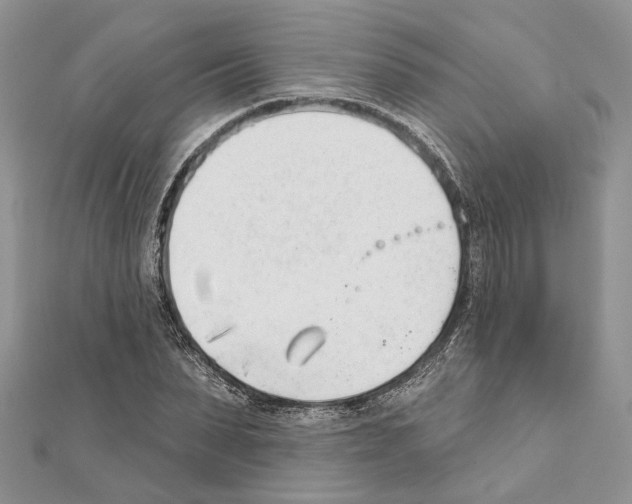 X0000111610879200908281048