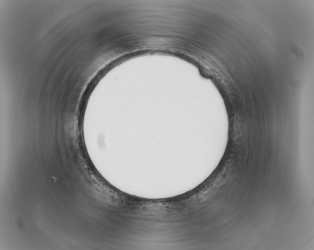 X0000111610880200908281048