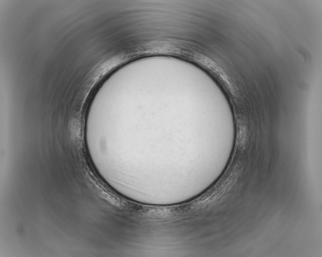 X0000111610882200908281048