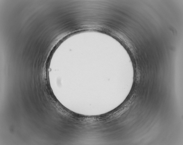 X0000111610883200908281048
