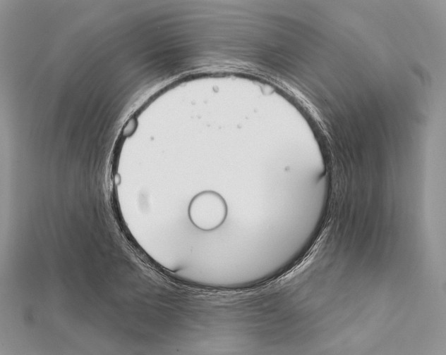 X0000111610885200908281048