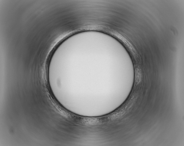 X0000111610886200908281048