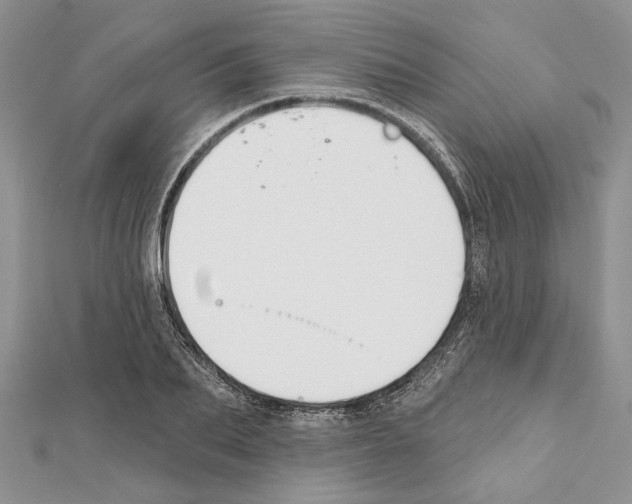 X0000111610887200908281048