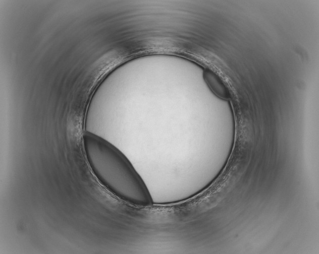 X0000111610889200908281048