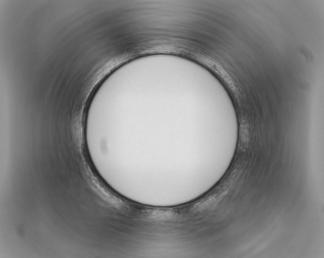 X0000111610890200908281048