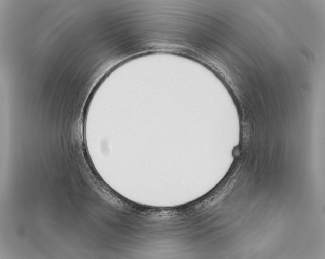 X0000111610891200908281048