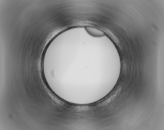 X0000111610893200908281048