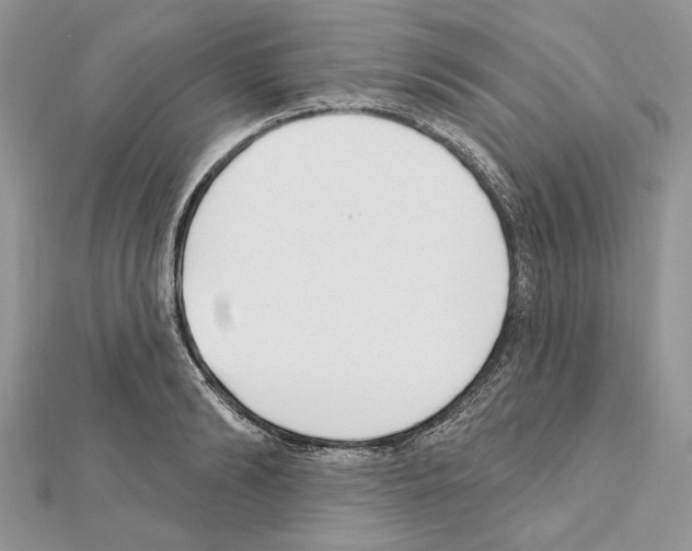 X0000111610894200908281048
