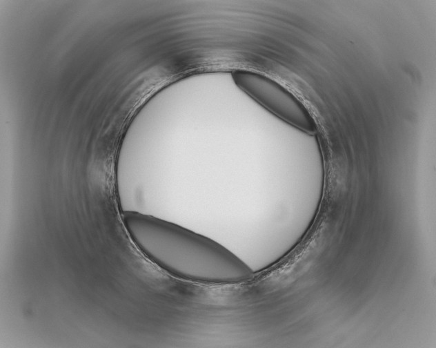 X0000111610897200908281048